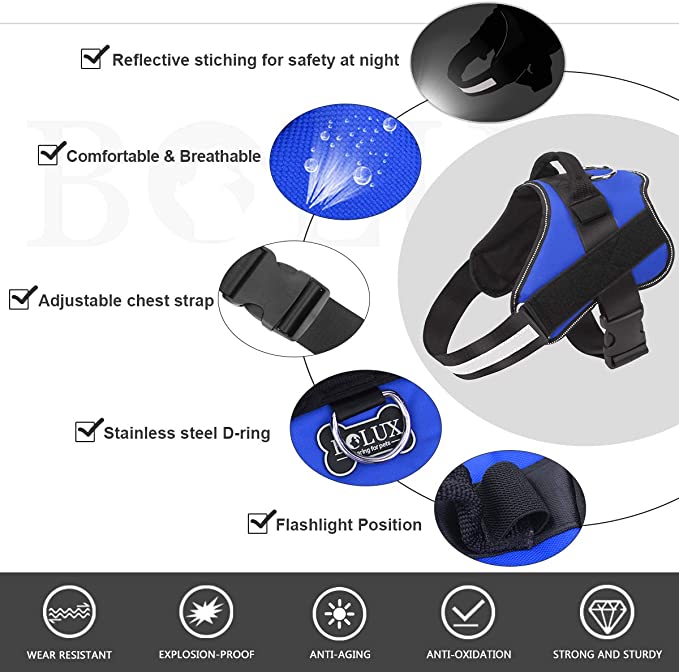 Adjustable Dog Harness
