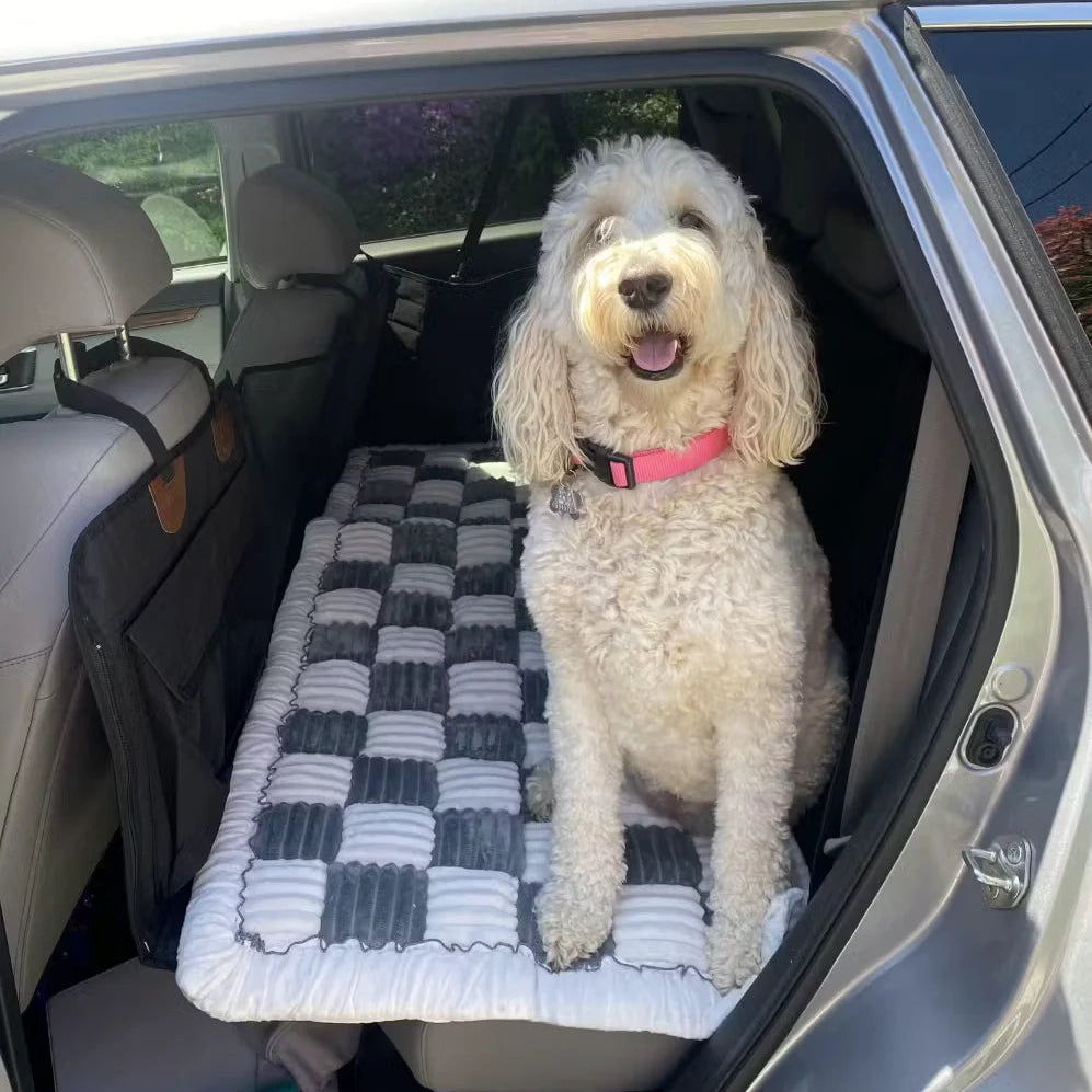 Dog sitting on a gray pet mat in the back seat of a car