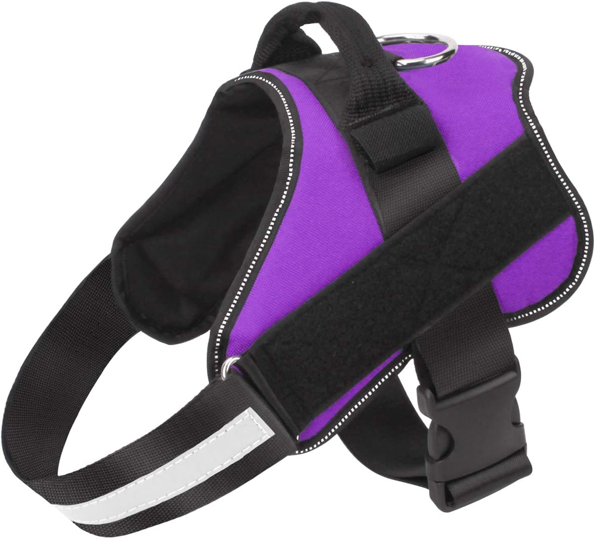 Adjustable Dog Harness