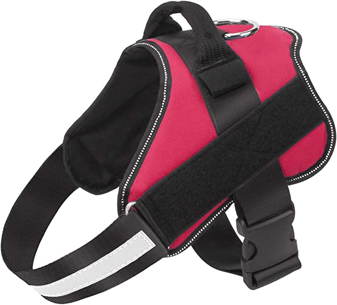 Adjustable Dog Harness