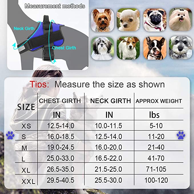 Adjustable Dog Harness