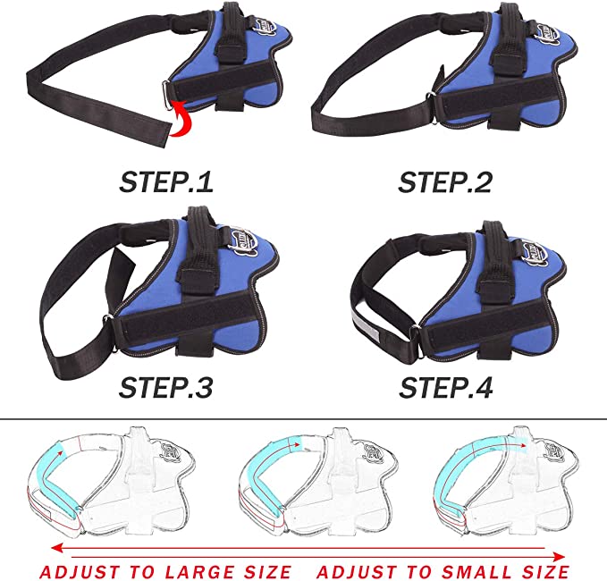 Adjustable Dog Harness