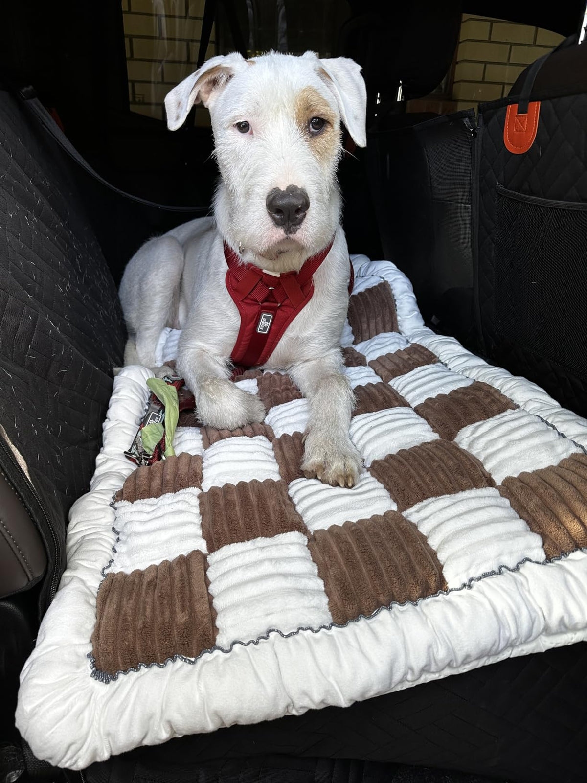 Thickened Dog Bed for Car Back Seat & Couch
