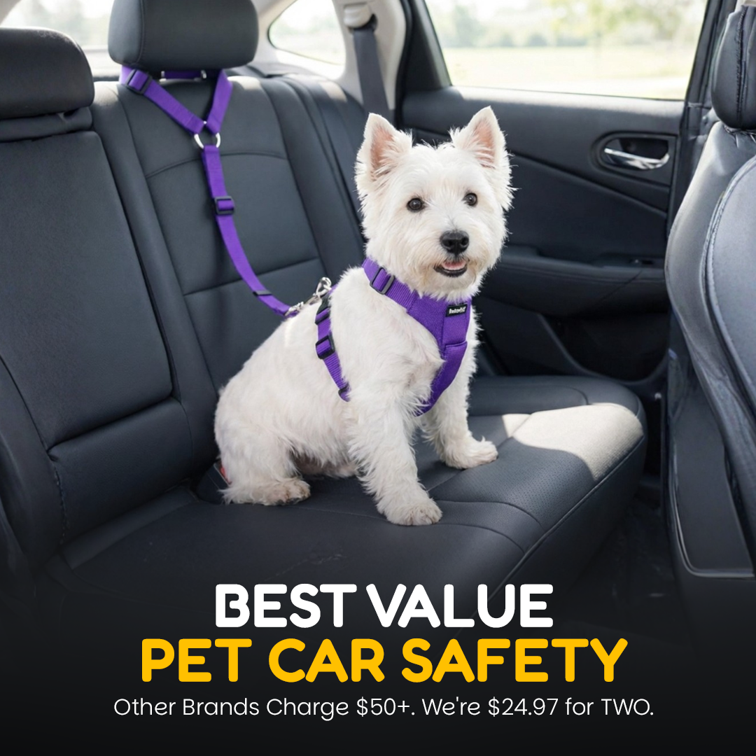 2 Pack Headrest Car Dog Safety Seatbelt