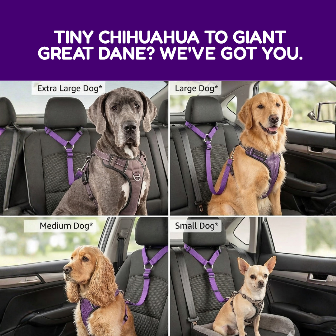 2 Pack Headrest Car Dog Safety Seatbelt