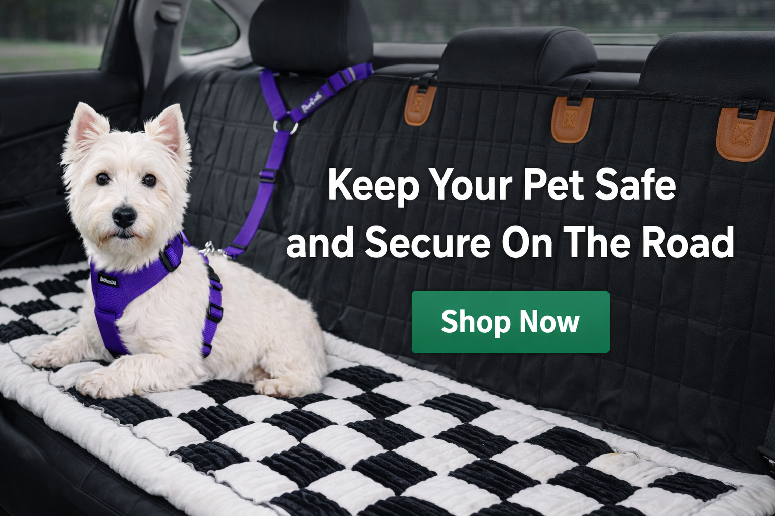 slider image 1621243260e1af0c20-0