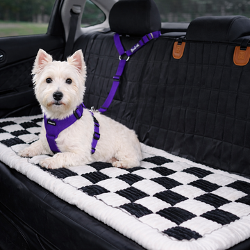 Car Backseat Dog Bed