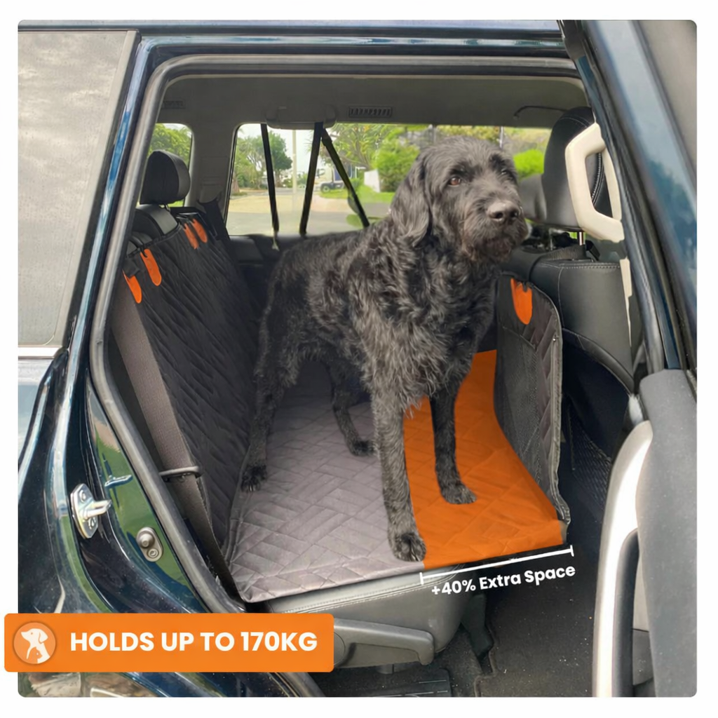Hard bottom Dog Car Seat Extender