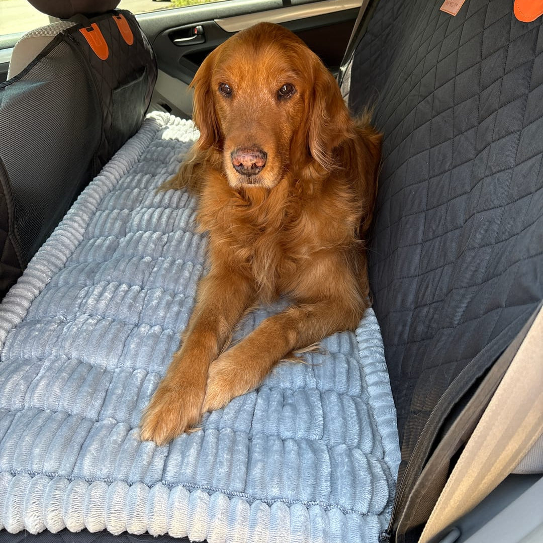 PawsPawty™ Hard Bottom Car Seat Extender Black+ PlushPad Dog Bed