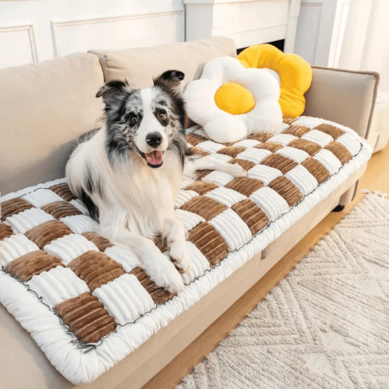 Dog sitting on a checkered pet bed with a yellow flower-shaped pillow in a living room.