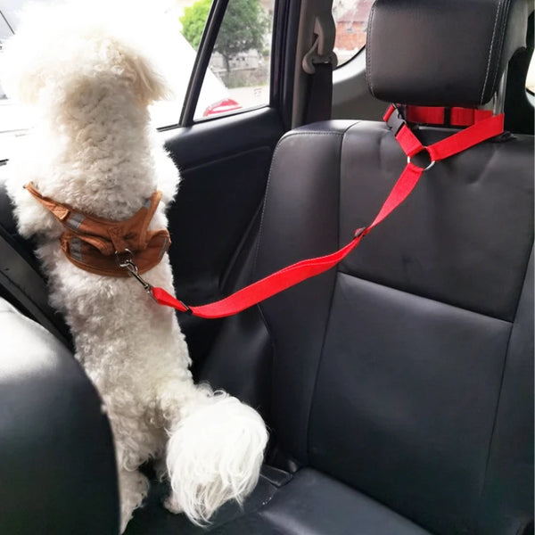 Car Dog Safety Leash Pack
