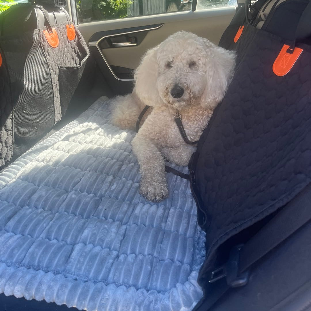Thickened Dog Bed for Car Back Seat & Couch