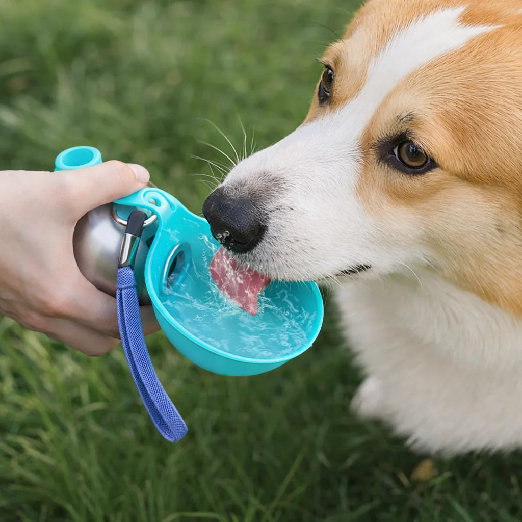 Stainless Steel Portable Dog Water Ball