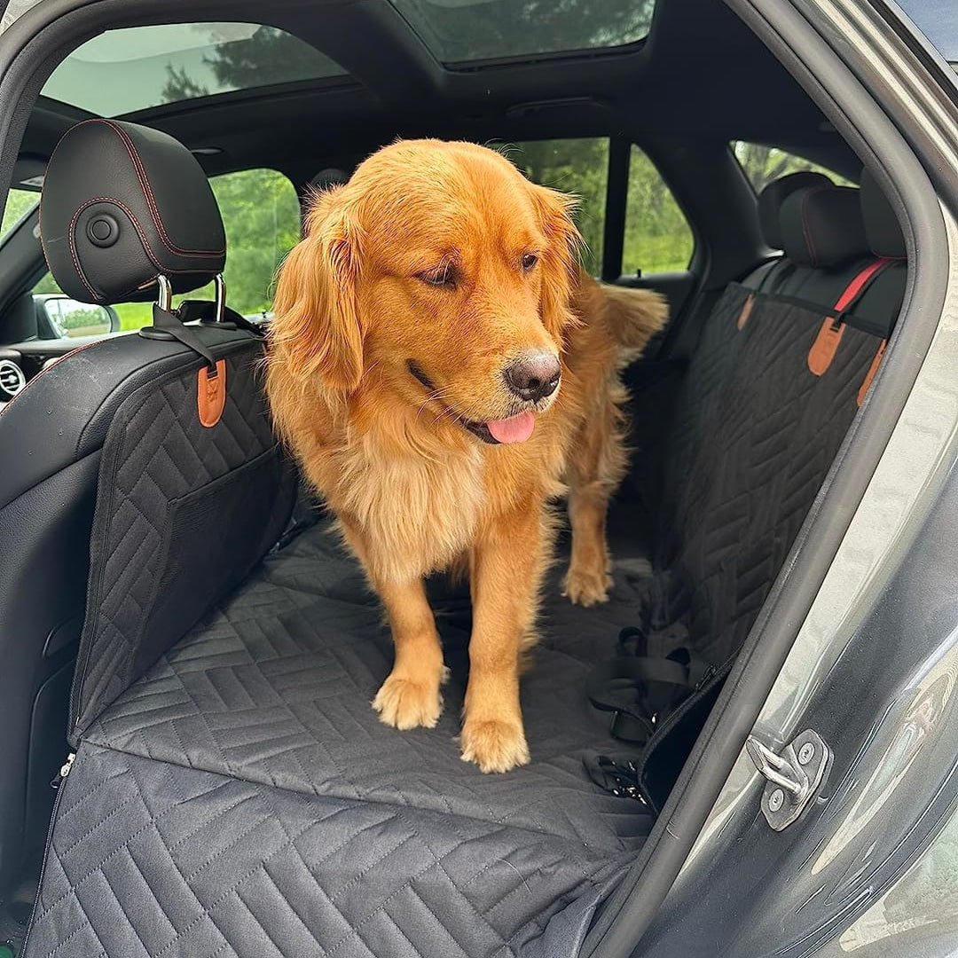 Hard bottom Dog Car Seat Extender